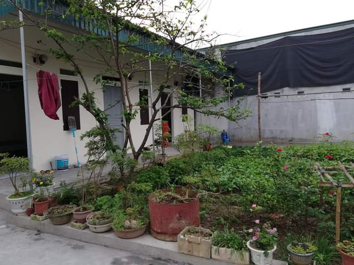 Lai Vu tạo điều kiện thúc đẩy dịch vụ nhà trọ trên địa bàn phát triển bền vững